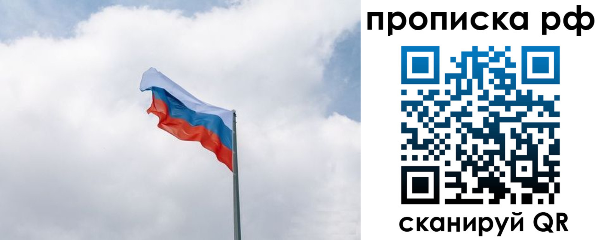 прописка гарантия в Рошале